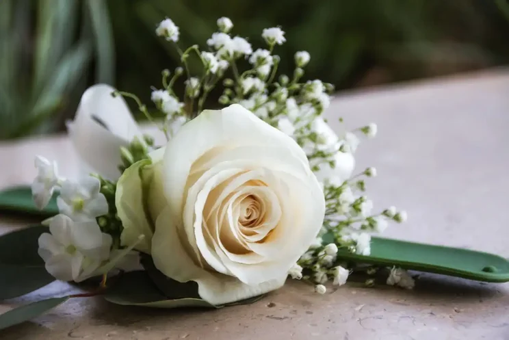 Eli Stouffer Obituary, Collingwood Community Mourns the Sudden Loss of Beloved Resident, Eli Stouffer